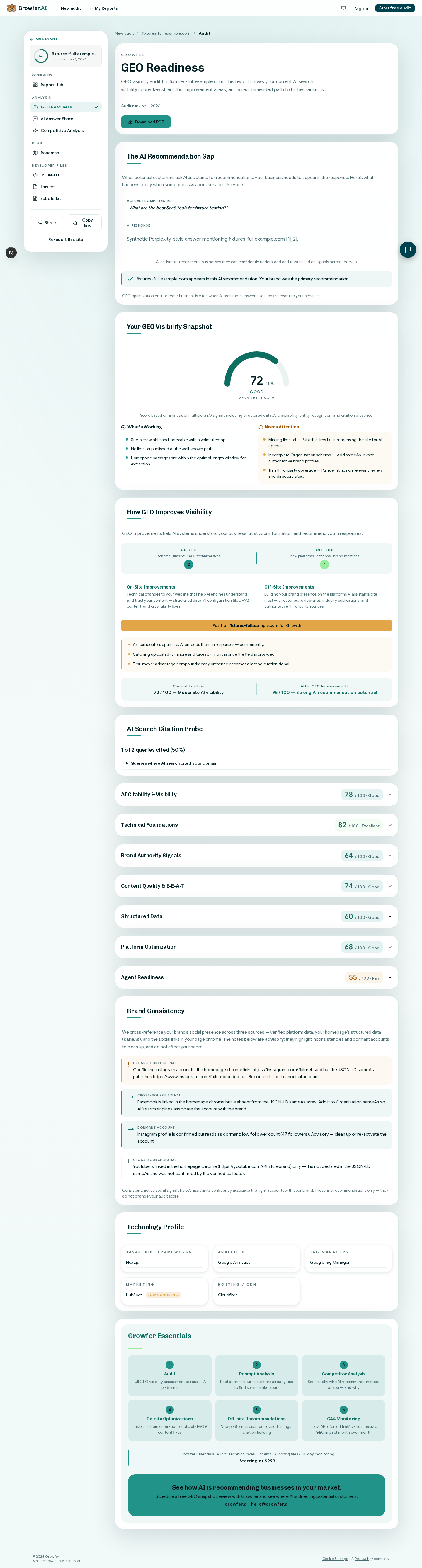 The findings on a Growfer GEO Readiness report: what's working and what needs attention, each scored.